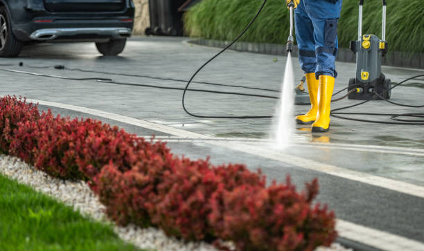 Best Residential Pressure Washing Services  in Spicer, MN