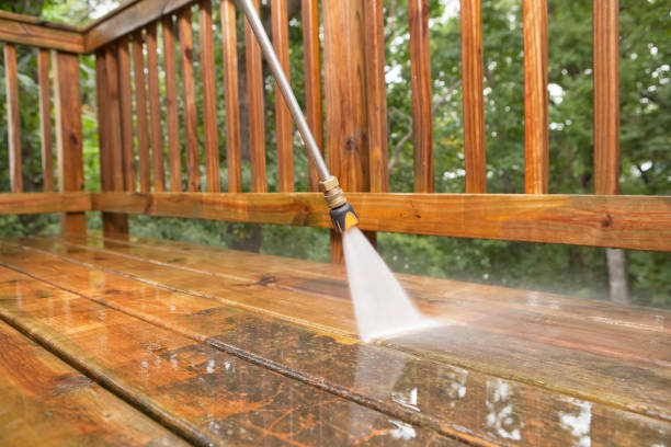 Best Deck Cleaning Services  in Spicer, MN