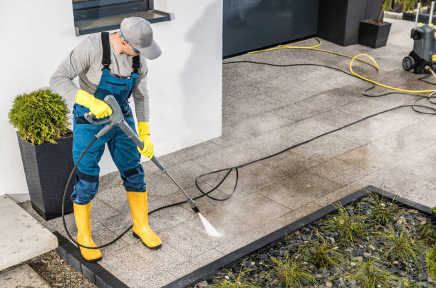 Best Local Pressure Washing Services  in Spicer, MN