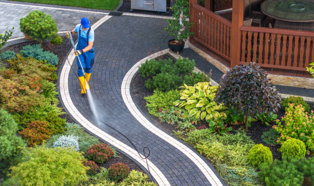 Best Power Washing Near Me  in Spicer, MN