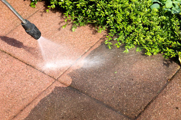 Best Pressure Washing Services Near Me  in Spicer, MN